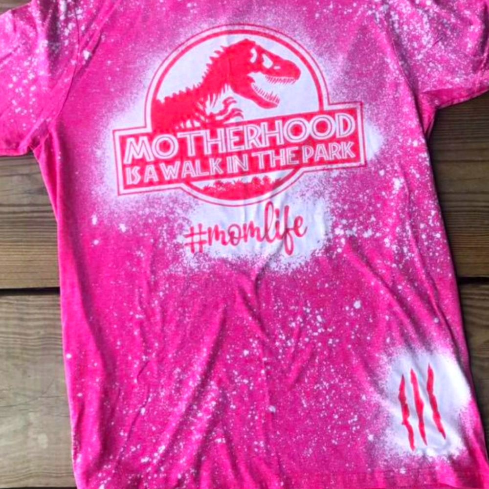 Motherhood walk in park